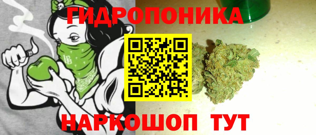 Шишки марихуана конопля  Бошки марихуана план  МАРИХУАНА гибрид  Братск  Вход с VPN 